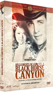 Gunfight at Black Horse Canyon |   DVD